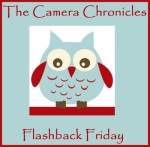 The Camera Chronicles - Flashback Friday