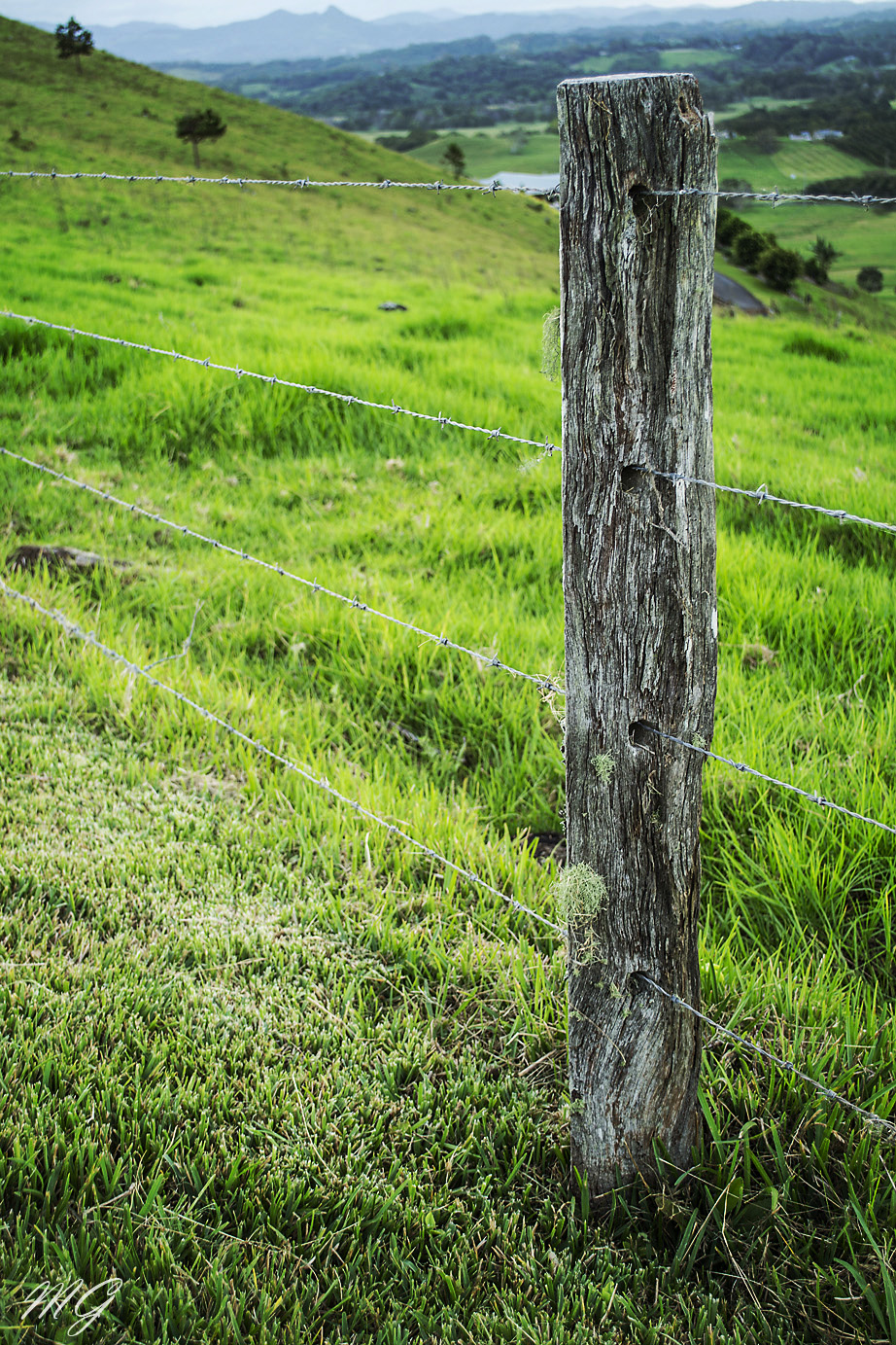 fence post, wood, barbed wire, country